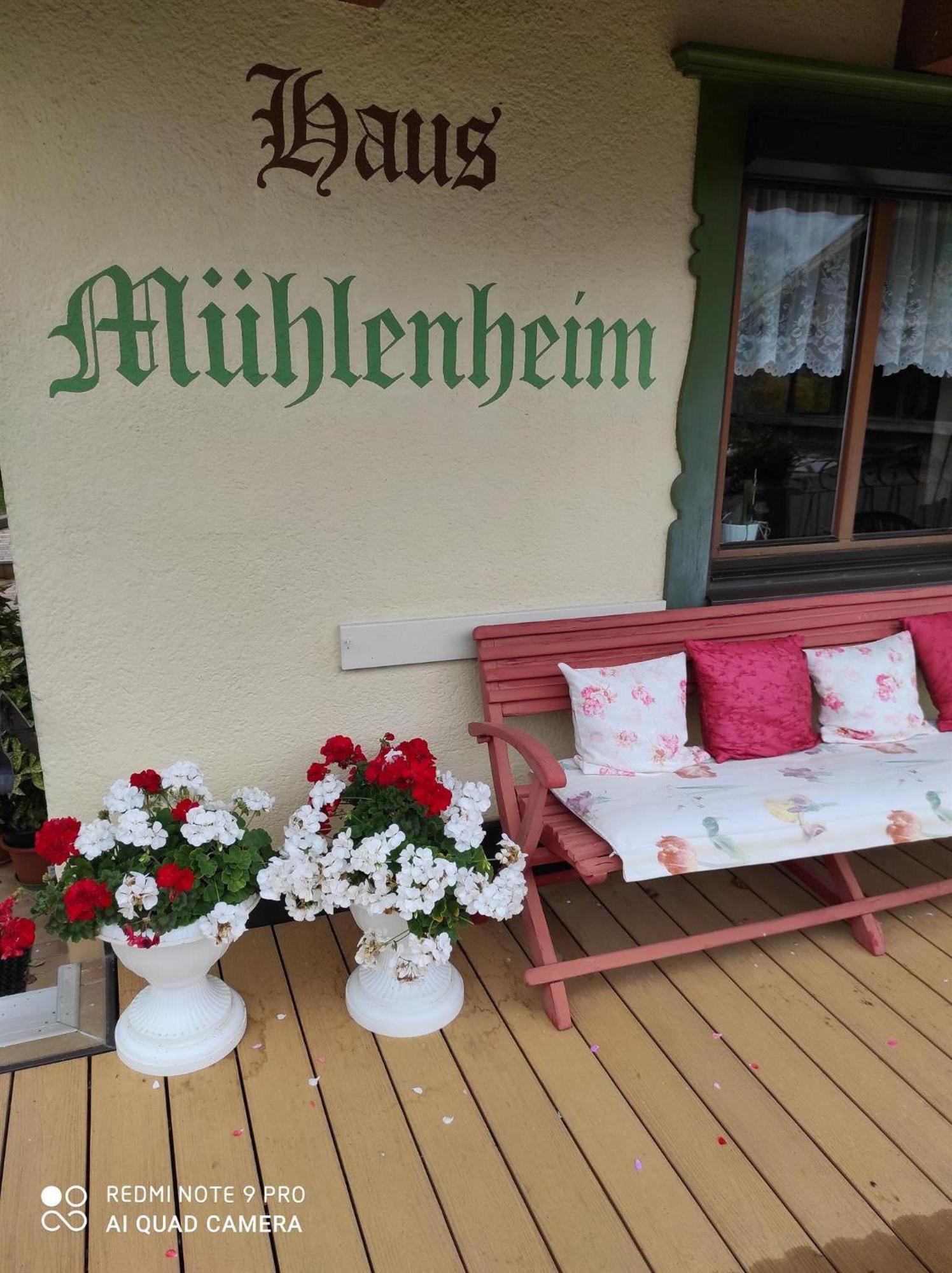 施文道Haus Muehlenheim别墅 外观 照片