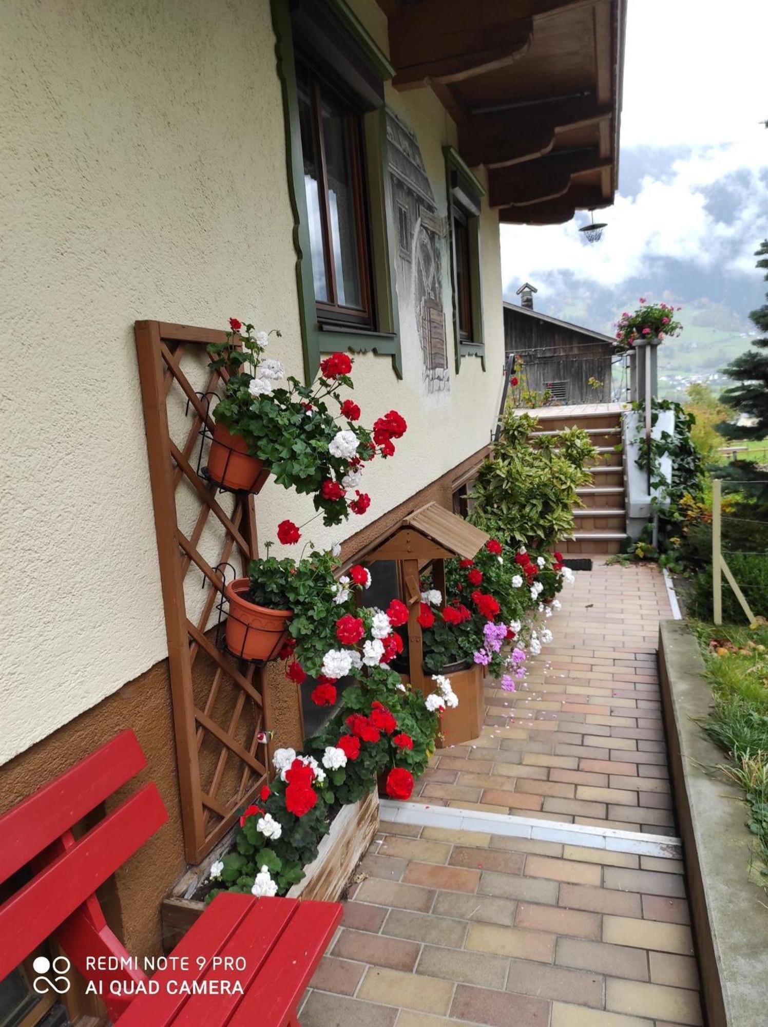 施文道Haus Muehlenheim别墅 外观 照片